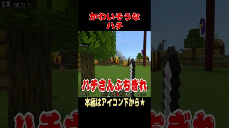 【マイクラ】かわいそうなハチ #マイクラ #マインクラフト#minecraft #shots