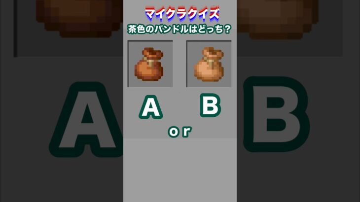 茶色のバンドルはどっち？#minecraft #マイクラ #マイクラクイズ #バンドル #イマジニアtv