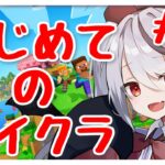 【マイクラ】初めてのマインクラフト！家の防御力を上げたい part3【十織 Vtuber 】#深夜配信 #vtuber #マイクラ #マインクラフト #Minecraft