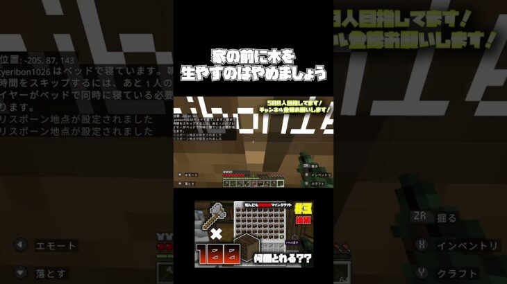 家の入口付近に木が生やされていました #マイクラ#マインクラフト #マイクラ実況 #shorts