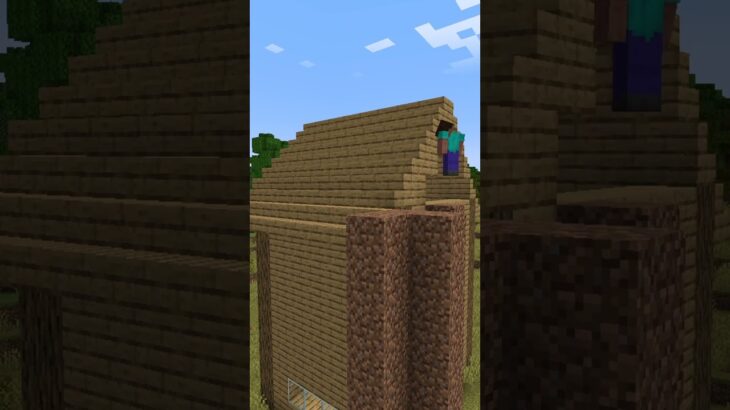 家の建築中によく起きてしまう悲劇【マイクラ】 #shorts #minecraft #マイクラ #マインクラフト