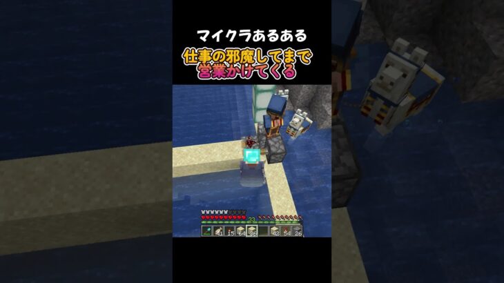 マイクラあるある　仕事の邪魔してまで営業かけてくる【マイクラ】 #shorts #minecraft #マイクラあるある