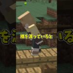 【 意味がわかると怖い話 】キャンプ【マイクラ 】 #マイクラ #どるれく