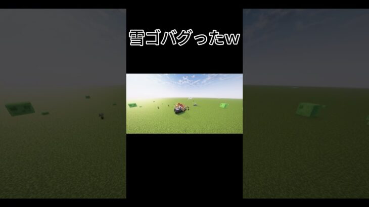 【マインクラフト】テレポートするスノゴ #バグ