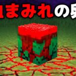 血塗られたマイクラ都市伝説を検証してみた【まいくら・マインクラフト】