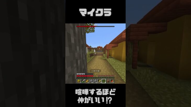 俺の家がぁぁぁ！！！【マイクラ】