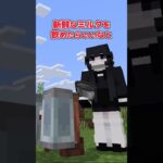 【アドオン紹介】背中の装備に自由度を！【統合版マイクラ】