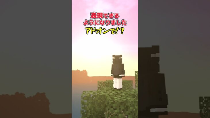 【アドオン紹介】グラフィックを綺麗にするのもアドオンでいいんだよ！【統合版マイクラ】