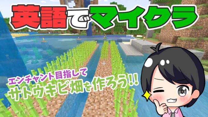 【マイクラ×英語】エンチャント目指してサトウキビ畑を作ろう！｜ゲームで英語を学ぶ挑戦！