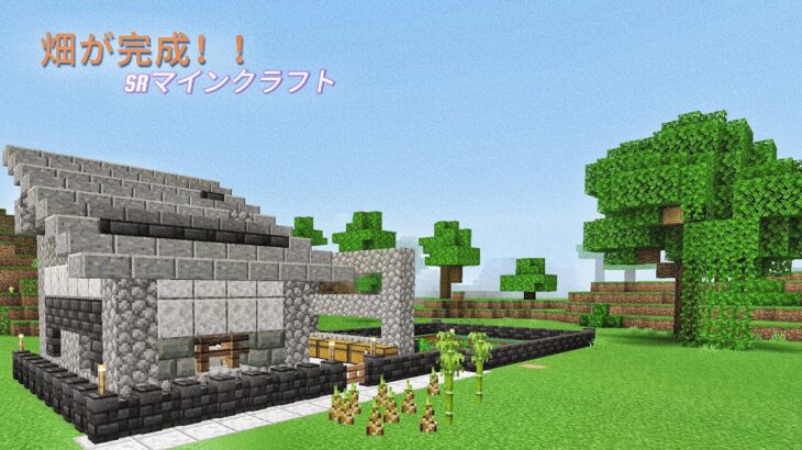 家の畑が完成！　#マインクラフト