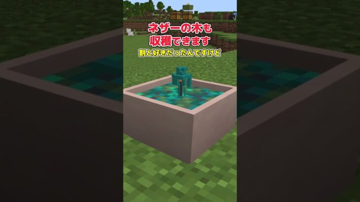 【アドオン紹介】畑？植林場？植木鉢でいいだろ。【統合版マイクラ】