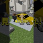 【意味がわかると怖い話】カーナビ【マイクラ】 #マイクラ #どるれく