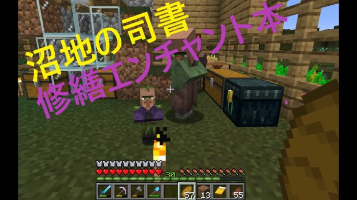 [沼地の司書　修繕エンチャント本]父さんのマイクラ