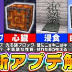 【マイクラ】最新アップデートの体験版が実装！ヤバすぎる新要素を徹底解説！【まいくら・マインクラフト】