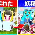 妖精に生まれた子供たちが生まれてから死ぬまで…【まいくら / マインクラフト】