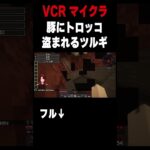 豚にトロッコ盗まれるツルギ #柊ツルギ #マイクラ #vcrマイクラ