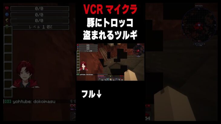 豚にトロッコ盗まれるツルギ #柊ツルギ #マイクラ #vcrマイクラ