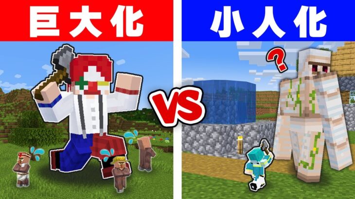 【マイクラ】小人vs巨人 エンドラ討伐で強いのはどっち？【マインクラフト】