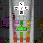 ひらがなを1文字入れてください【マイクラ】