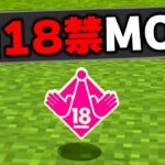 マイクラの子供は絶対にプレイしてはいけない”18禁MOD”を実際にプレイしてみたらヤバすぎたｗｗｗ【まいくら・マインクラフト】