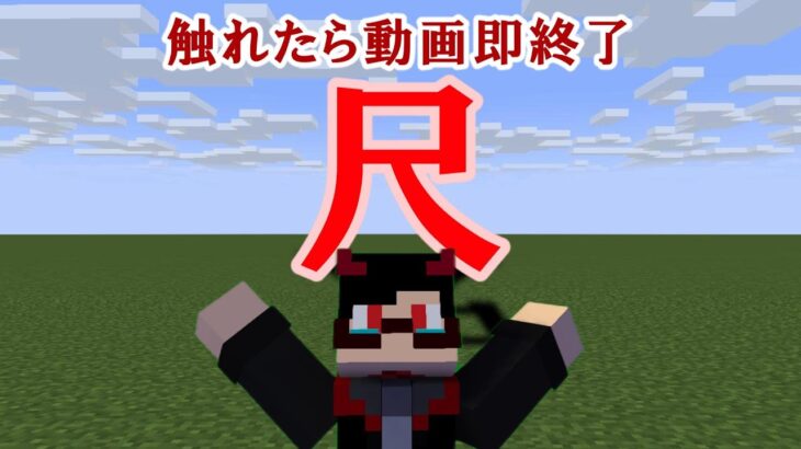 【マイクラ】尺に追われる動画2【コマンド】【マインクラフト】