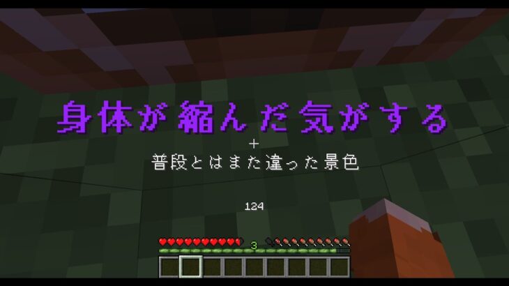 [マイクラコマンド]30秒間小さくなる！その他色々