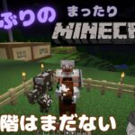 【#34/Minecraft】そろそろエンチャントしたい編