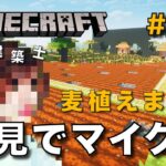 【マイクラ】一級建築士が建築しながら初見でマイクラを配信 #57【Minecraft / マインクラフト / 配信 / 実況】