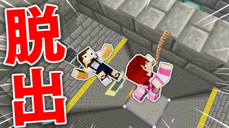 ついに脱出！？二人で協力しないと出れない遺跡から脱出しろ！『巻き戻しサテライト8日目』