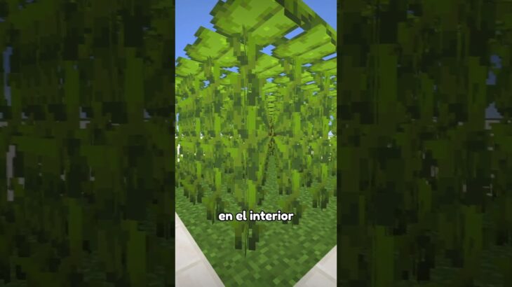 El minijuego más divertido de Minecraft! 😮