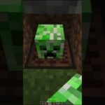 Fake Creeper Sound TRAP🤫(もういいよ) #minecraft #shorts