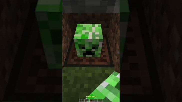 Fake Creeper Sound TRAP🤫(もういいよ) #minecraft #shorts