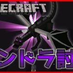 【マイクラ】寝起き５分でエンドラ討伐【Java版】