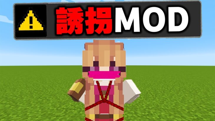 マイクラでプレイ禁止されている”犯罪MOD”を実際にプレイしてみたらヤバすぎたｗｗｗ【まいくら・マインクラフト】