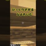 MOD導入あるある編 その18　 #マインクラフト #shorts #ゆっくり