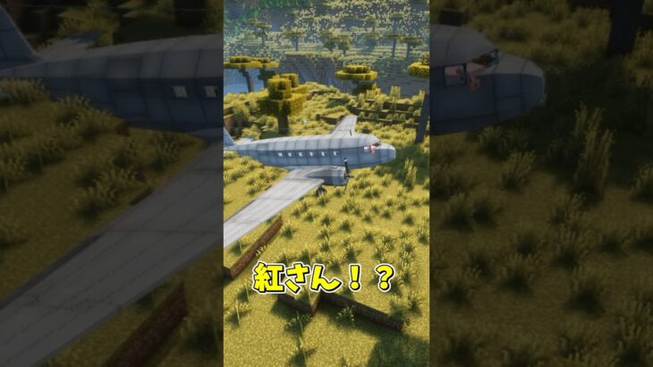 不時着の天才とはこの俺様【MOD紹介】 #マイクラ #mod紹介