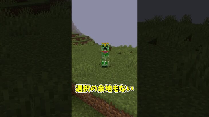 マイクラのアイドルと言えば【MOD紹介】 #マイクラ #mod紹介