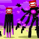 Mein ENDERMAN LEBENSZYKLUS in Minecraft