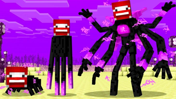 Mein ENDERMAN LEBENSZYKLUS in Minecraft