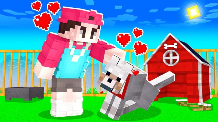 Mein NEUER HUND in MINECRAFT! (Youtuber Insel 3)