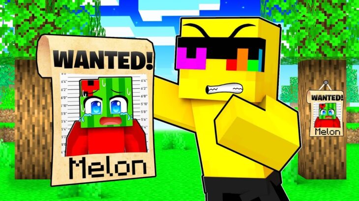 Melon is A CRIMINAL in Minecraft!