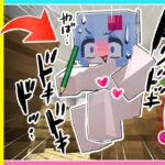 🍒テスト中に服が盗まれるマインクラフト【まいくら・Minecraft】りぃべる