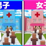 患者が来る病院を経営できるのは男子と女子どっち？🏥👨‍⚕️👩‍⚕️【 マイクラ / Minecraft  】