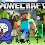 【Minecraft】マイクラの世界でまったりさせて～！マイクラ面白すぎる　【初心者】