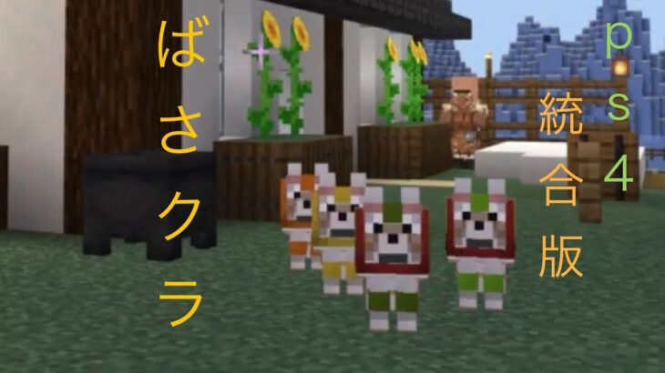 【 マイクラ 】  エンチャント本の買い出しに初期村で本を買っていきます。【Minecraft】 【 ばさクラ 】 【ハヤバサワールド 】 #  510