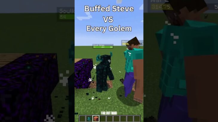 Minecraft Buffed Steve vs Every Golem (もういいよ) #minecraft #shorts