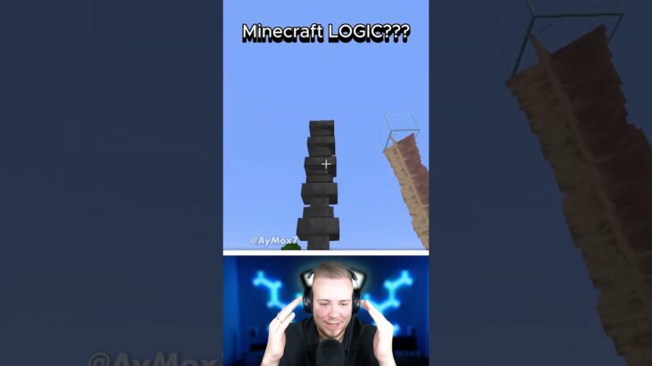 Minecraft LOGIK?? 🤔