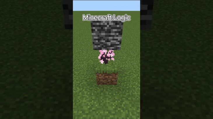 Minecraft Logic