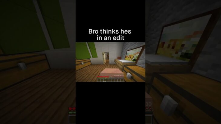 Minecraft Meme