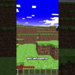 Minecraft NEEDED this feature